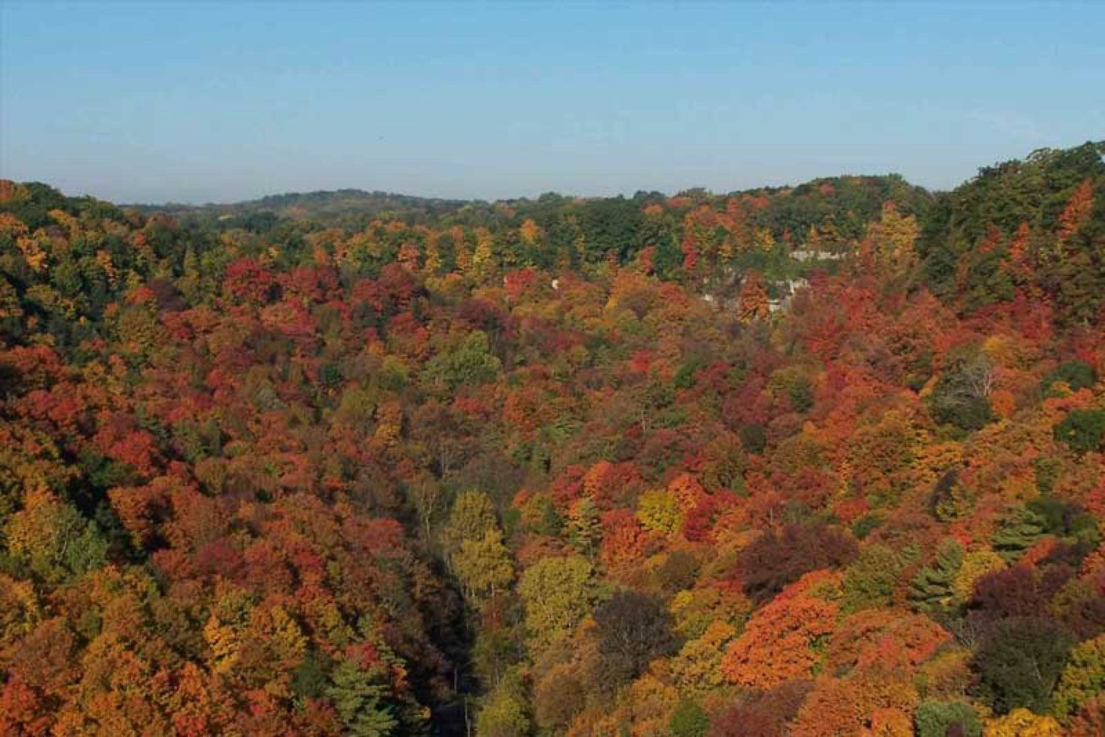 The Niagara Escarpment near Greensville in autumn colour